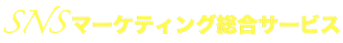 SNSマーケティング総合サービス